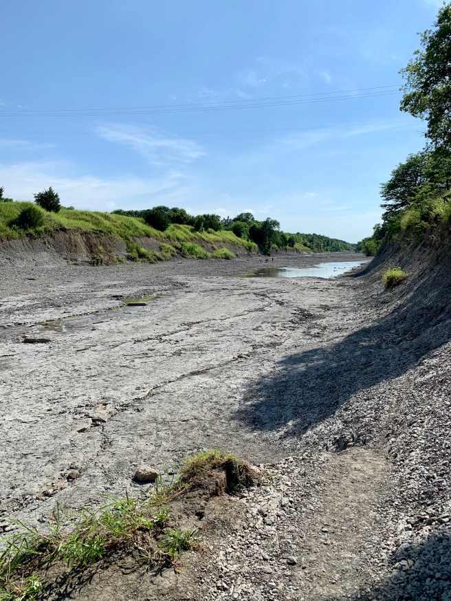 Partially dry riverbed of the North Sulphur River